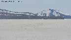 area3-20250509175056.jpg