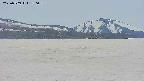 area3-20250509180100.jpg