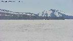area3-20250509183053.jpg