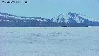 area3-20250509184057.jpg