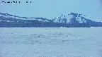area3-20250509185055.jpg