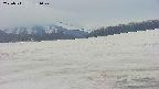 area3-20250511181043.jpg