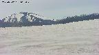 area3-20250512063044.jpg