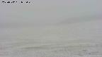 area3-20250512095045.jpg