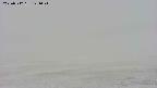 area3-20250512121041.jpg