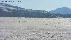 area3-20250513155044.jpg