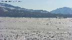 area3-20250513162044.jpg
