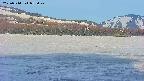 area3-20250514052042.jpg