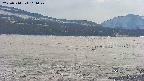 area3-20250514161043.jpg