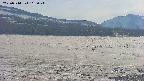 area3-20250514162042.jpg