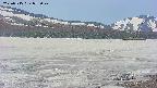 area3-20250515075042.jpg
