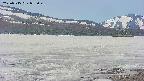area3-20250515085049.jpg