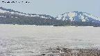 area3-20250515103050.jpg