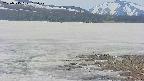 area3-20250515105047.jpg