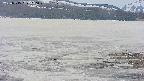 area3-20250515110047.jpg