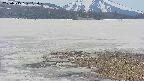 area3-20250515112050.jpg