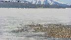 area3-20250515114048.jpg