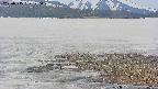 area3-20250515120050.jpg