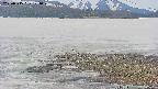 area3-20250515121050.jpg