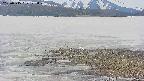 area3-20250515122049.jpg