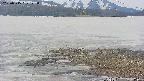 area3-20250515123055.jpg