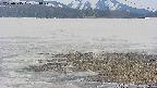 area3-20250515131048.jpg