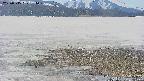 area3-20250515134050.jpg