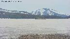 area3-20250515143047.jpg