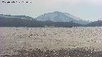 area3-20250515165053.jpg