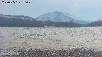 area3-20250515170050.jpg