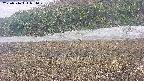 area3-20250516054050.jpg