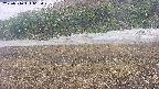 area3-20250516062049.jpg