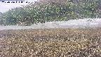 area3-20250516063050.jpg
