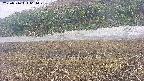 area3-20250516064050.jpg