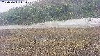 area3-20250516072049.jpg