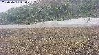 area3-20250516081050.jpg