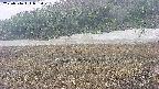 area3-20250516083051.jpg