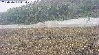 area3-20250516085050.jpg