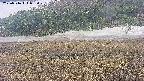 area3-20250516093050.jpg