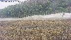 area3-20250516100050.jpg