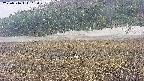 area3-20250516102050.jpg