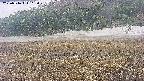 area3-20250516103050.jpg