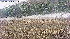area3-20250516115053.jpg