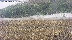 area3-20250516122051.jpg