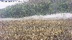area3-20250516123050.jpg