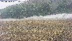 area3-20250516133048.jpg
