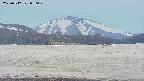 area3-20250517050050.jpg