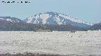 area3-20250517054050.jpg