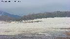 area3-20250518063049.jpg
