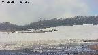 area3-20250518073050.jpg
